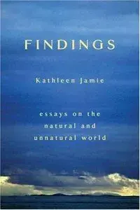 Findings cover