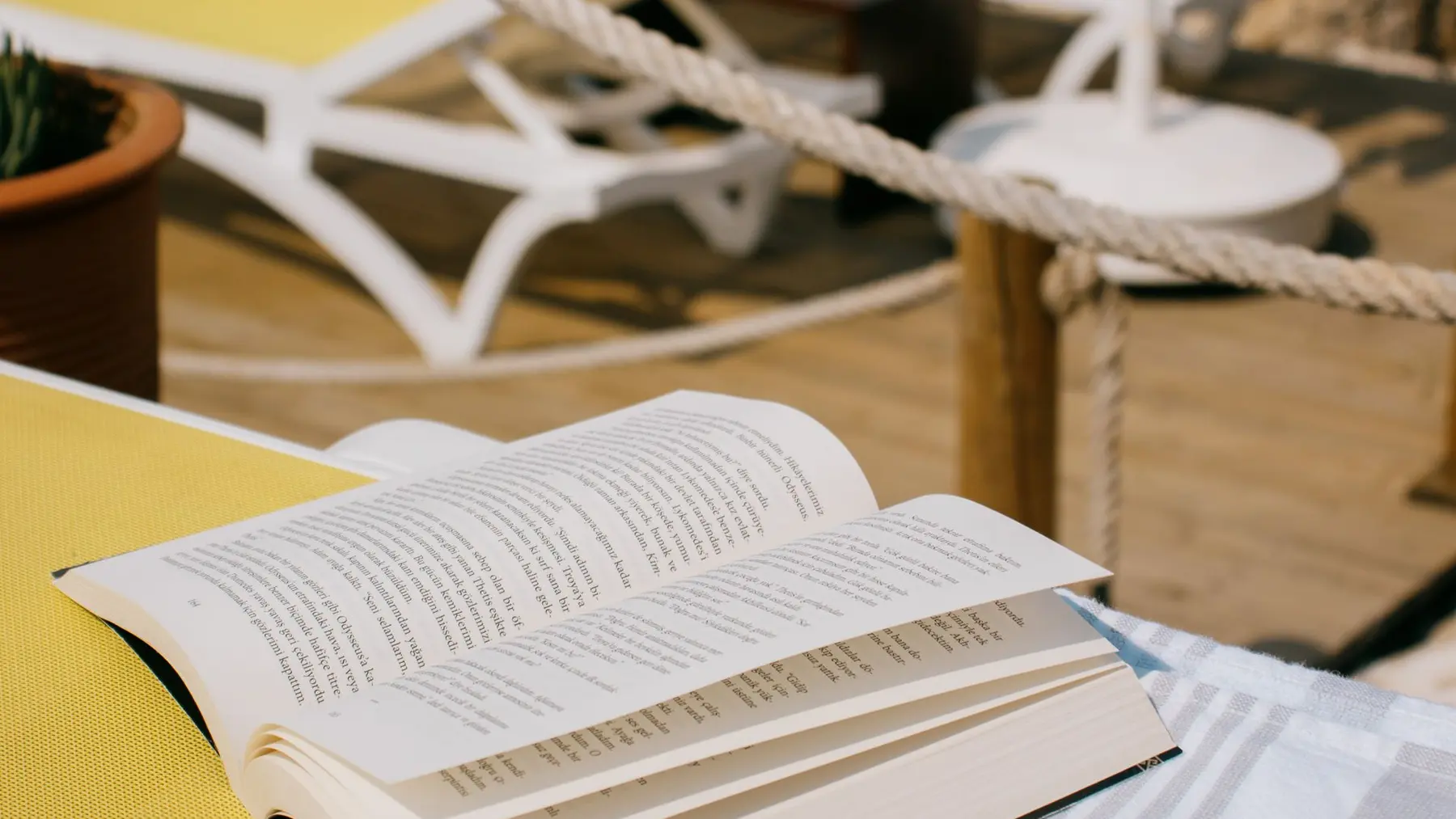 The Best Holiday Reads