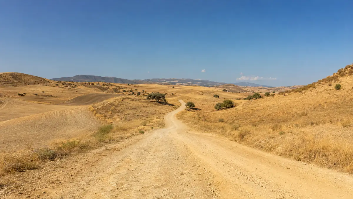 A dusty ridge in Spain, olive trees and distant gun smoke