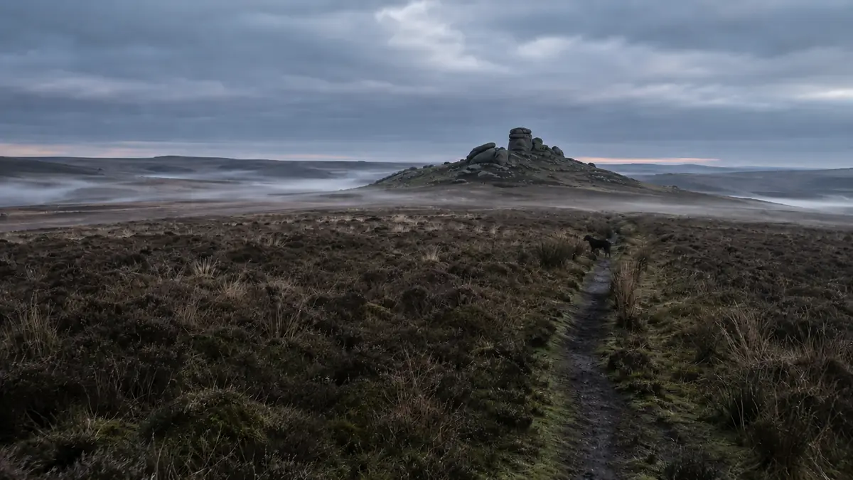 Dartmoor after dark. Doyle's hound is the most famous dog in English fiction and almost nobody remembers what breed it was.