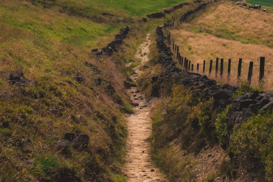 A footpath winding through countryside fields
