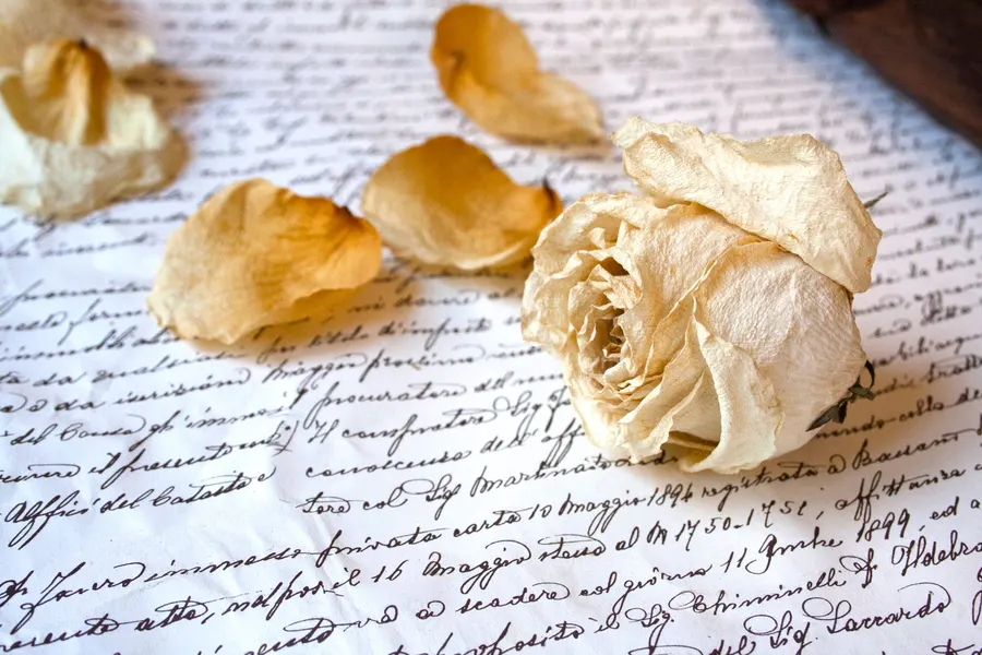 A handwritten letter with dried flowers